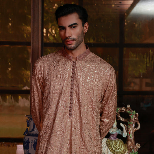 Chiffon Light Brown Emb Band Collar Suit