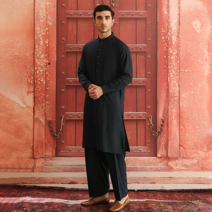 Poly Viscose scarab Slim Fit Plain Suit