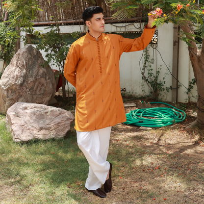 Men's Golden Oak Poly Viscose Embroidered Kurta