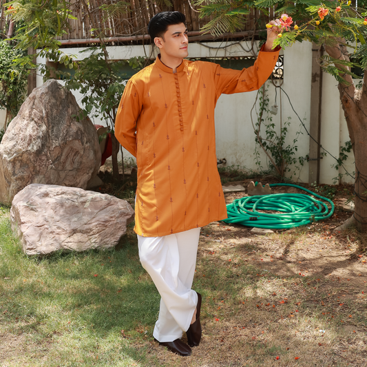 Men's Golden Oak Poly Viscose Embroidered Kurta