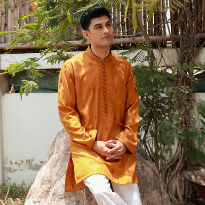 Men's Golden Oak Poly Viscose Embroidered Kurta