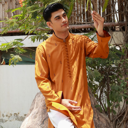 Men's Golden Oak Poly Viscose Embroidered Kurta