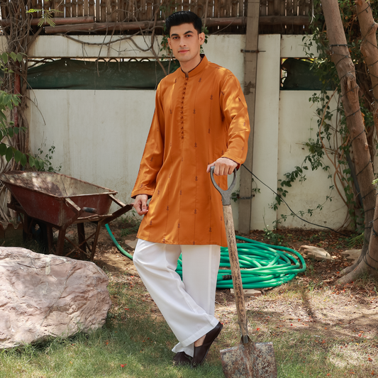 Men's Golden Oak Poly Viscose Embroidered Kurta