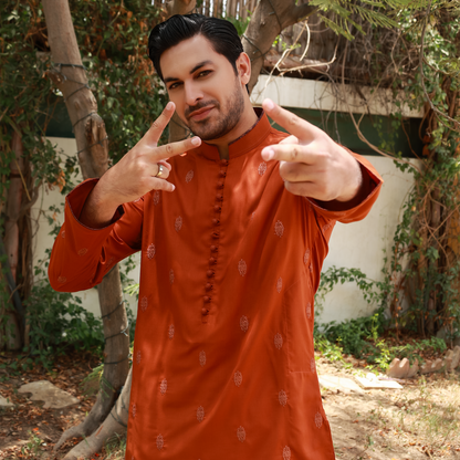 Men's Rust Poly Viscose Embroidered Kurta