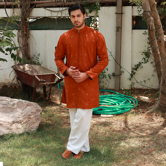Men's Rust Poly Viscose Embroidered Kurta